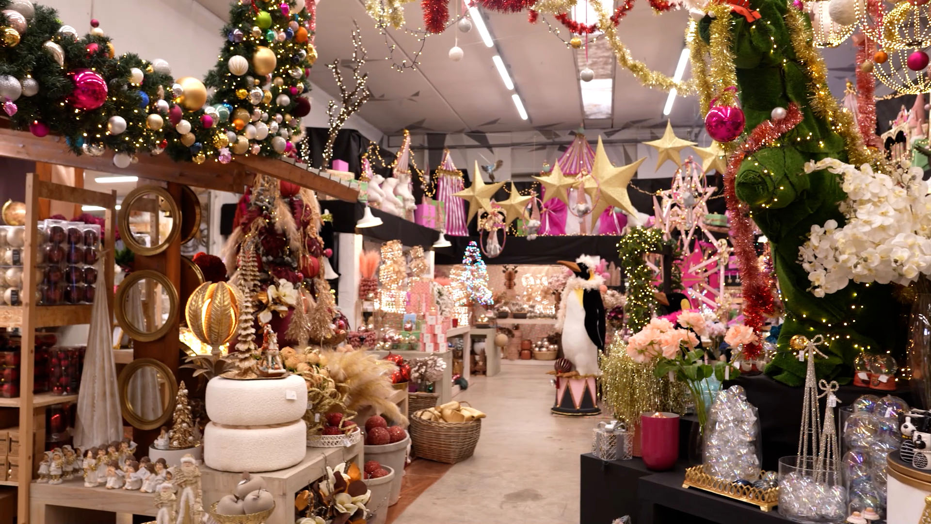 GreenFlor Centro Giardino 